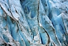 Ledovec, Exit Glacier, Aljaška