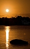 Hroch obojživelný (H. amphibius), Sunset Dam